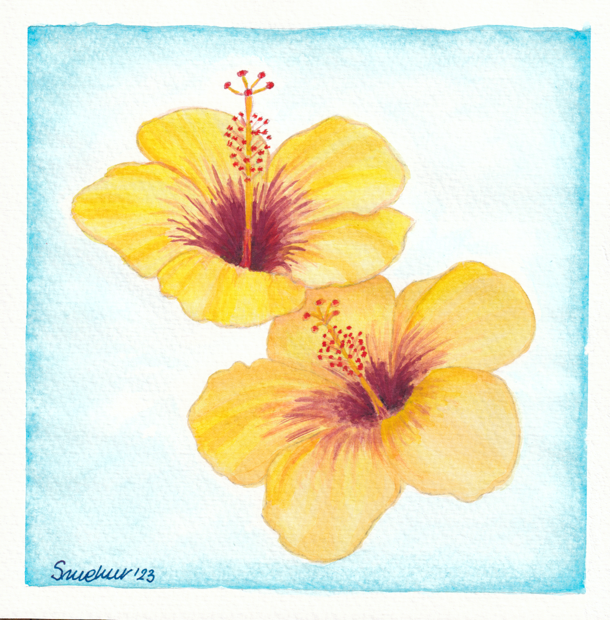 Watercolor hibiscus